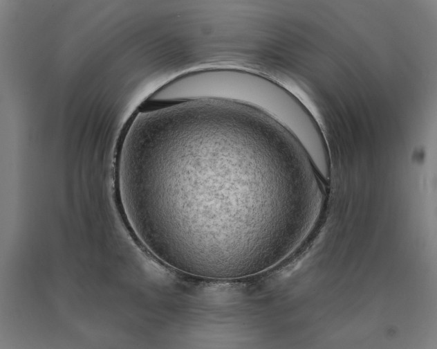 X0000090631093200707311300