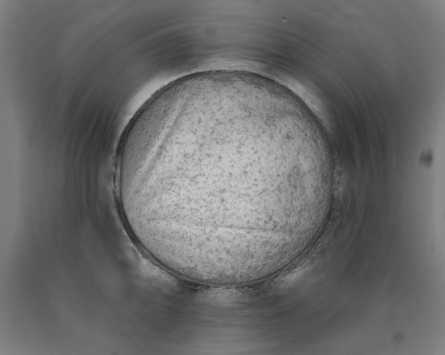 X0000090631094200707311300