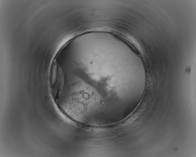 X0000090631095200707311300