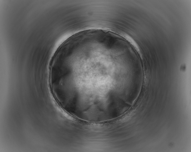 X0000090631096200707311300