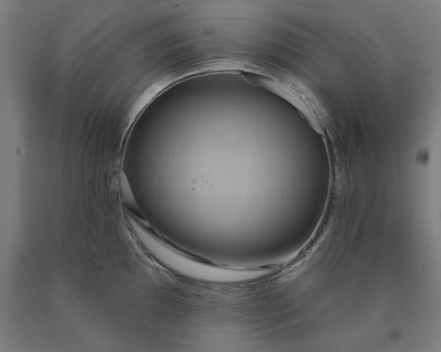 X0000090631097200707311300