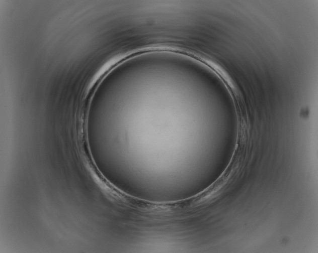 X0000090631101200707311300