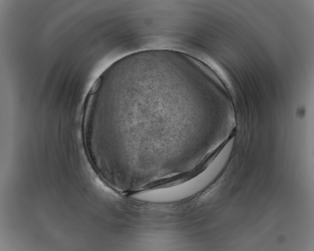 X0000090631102200707311300