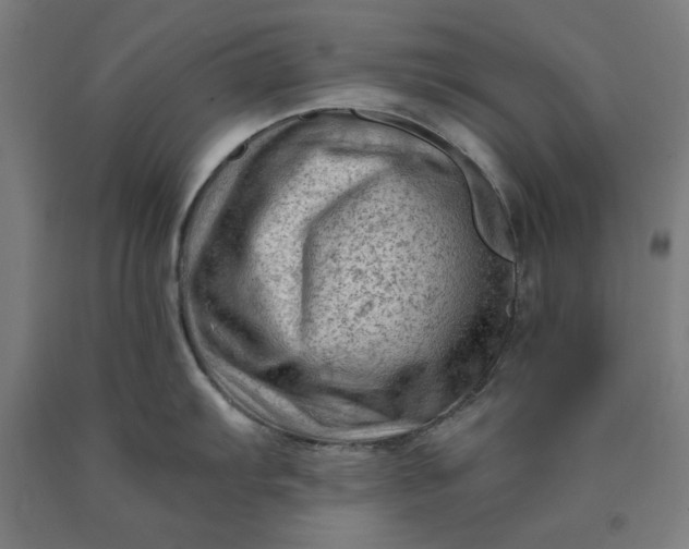 X0000090631103200707311300