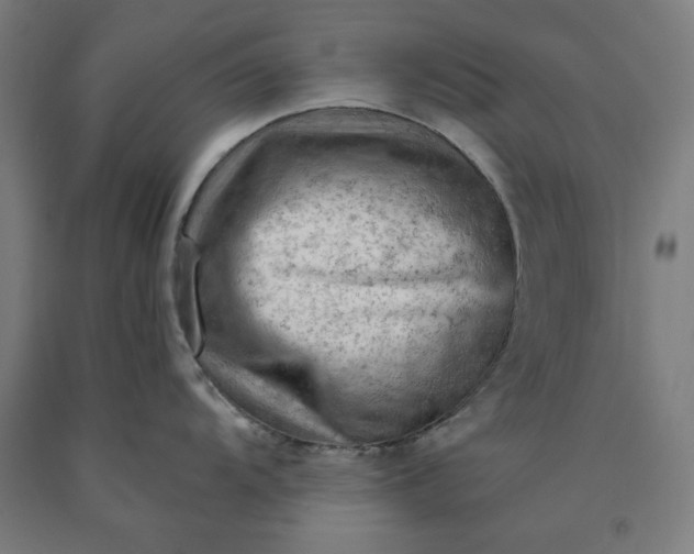 X0000090631104200707311300