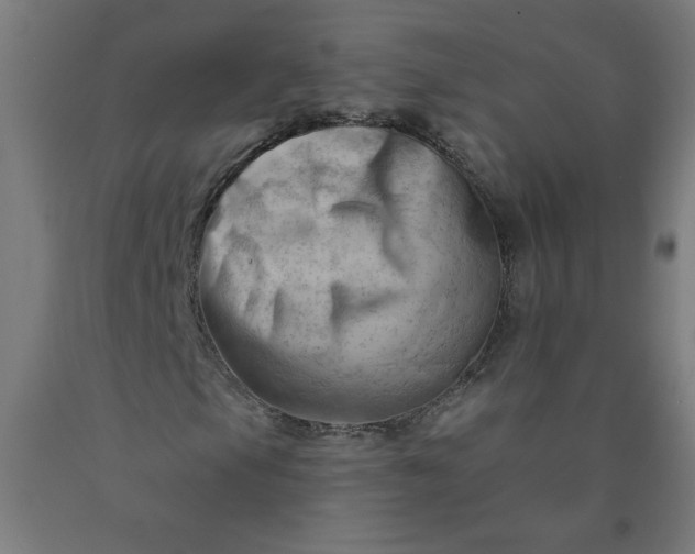 X0000090631105200707311259
