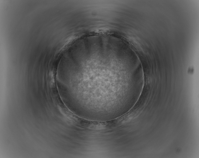 X0000090631106200707311259