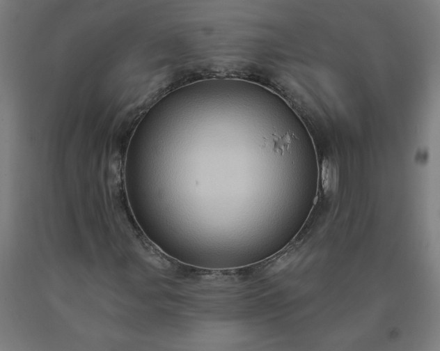 X0000090631107200707311259