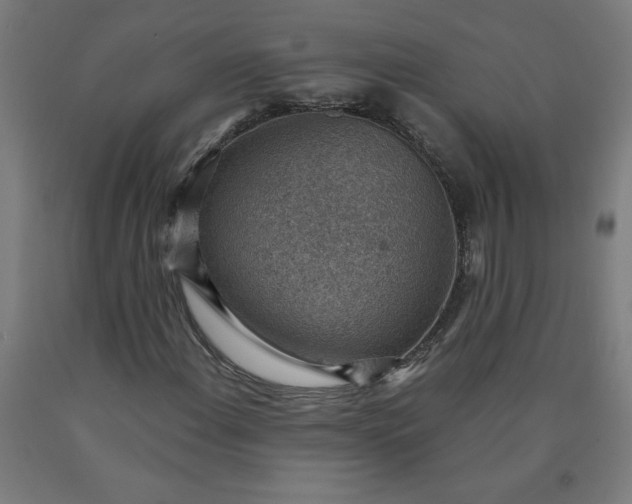 X0000090631108200707311259