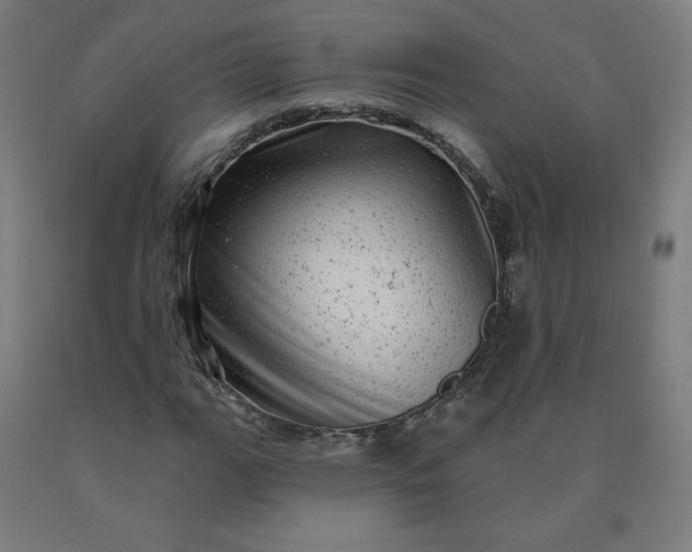 X0000090631111200707311259