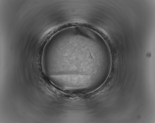 X0000090631112200707311259