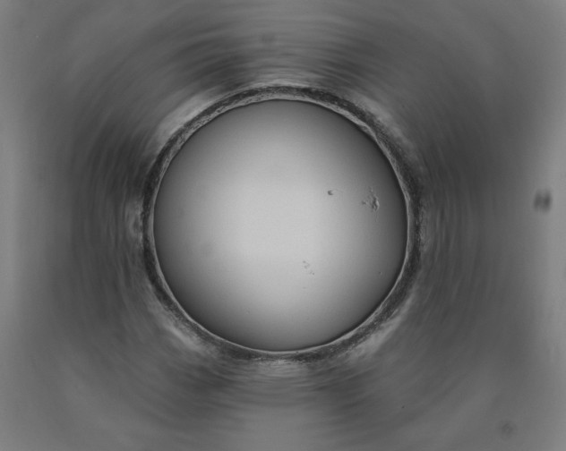 X0000090631113200707311259