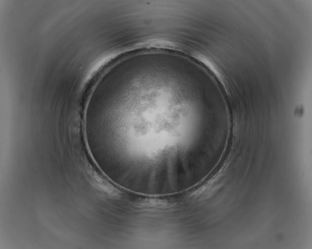X0000090631115200707311259