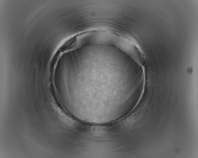 X0000090631116200707311259