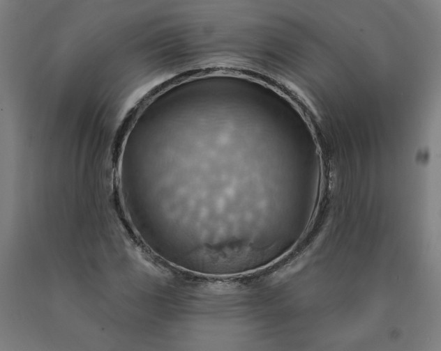 X0000090631117200707311259