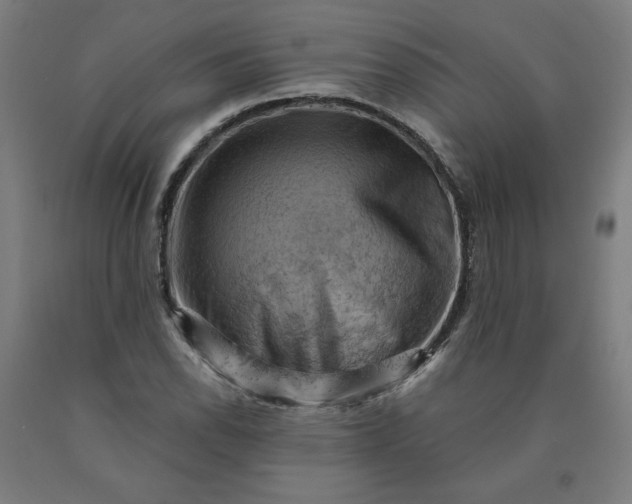 X0000090631118200707311259