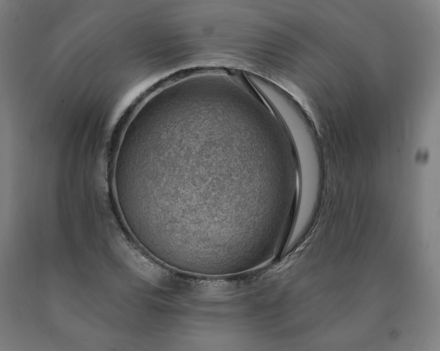 X0000090631120200707311259