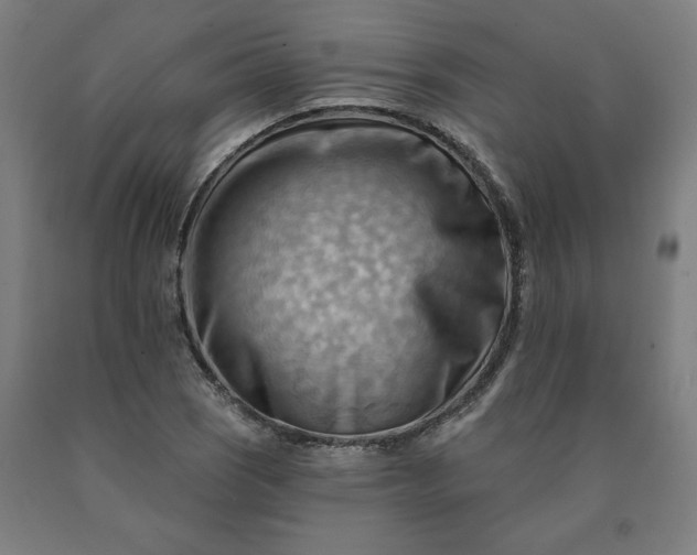 X0000090631121200707311259