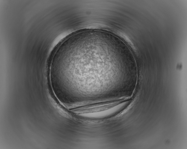 X0000090631122200707311259