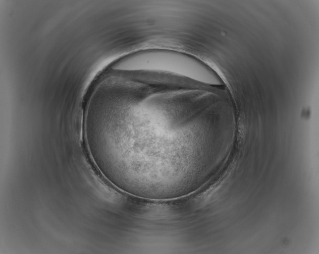 X0000090631123200707311259