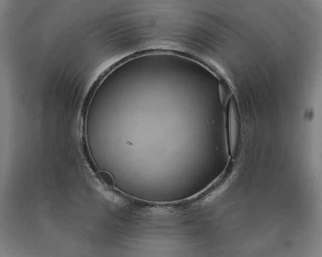 X0000090631125200707311259