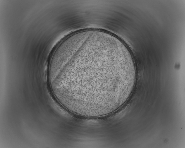 X0000090631126200707311300