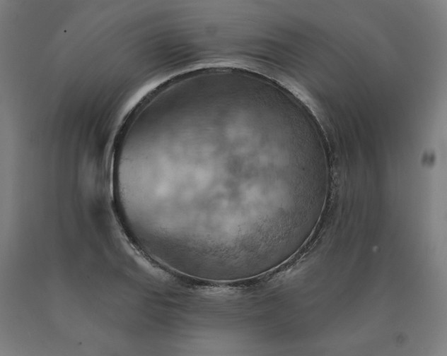 X0000090631127200707311300