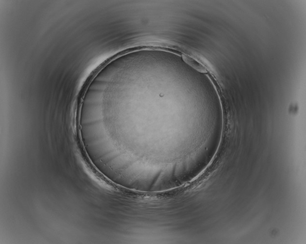 X0000090631128200707311300