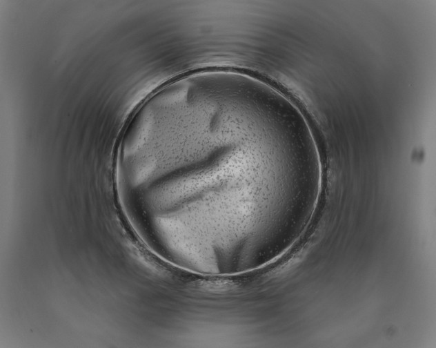 X0000090631129200707311300