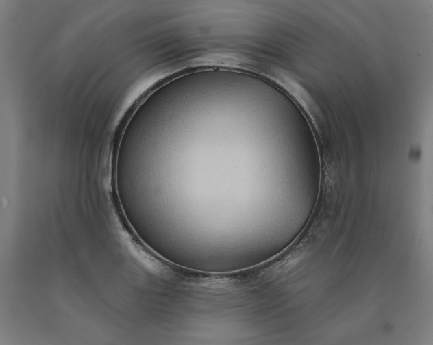 X0000090631131200707311300