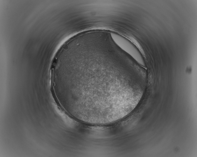 X0000090631132200707311300