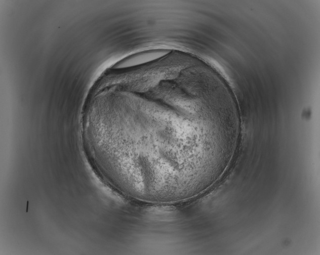 X0000090631133200707311300