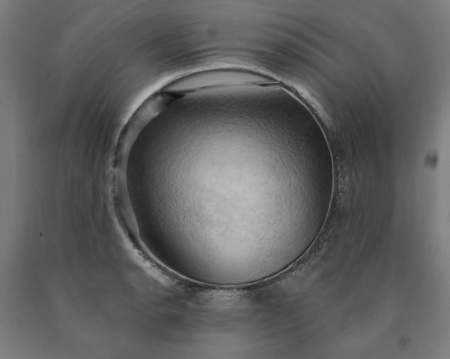 X0000090631134200707311300
