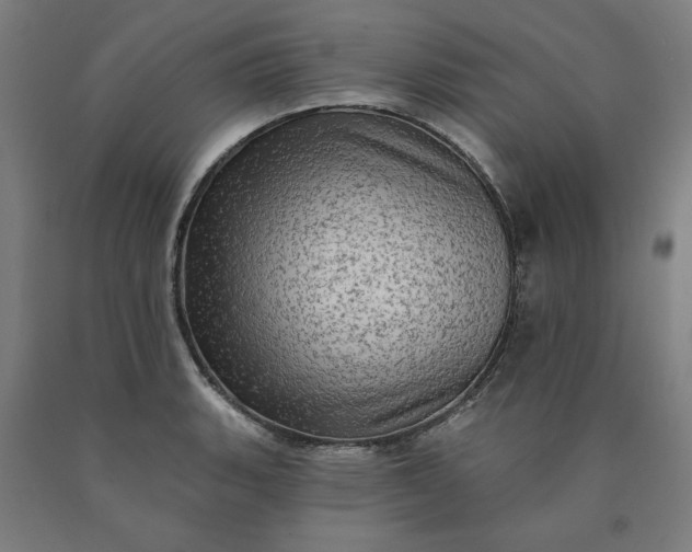X0000090631135200707311300