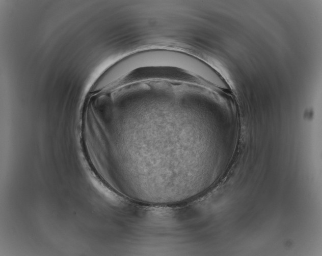 X0000090631136200707311300