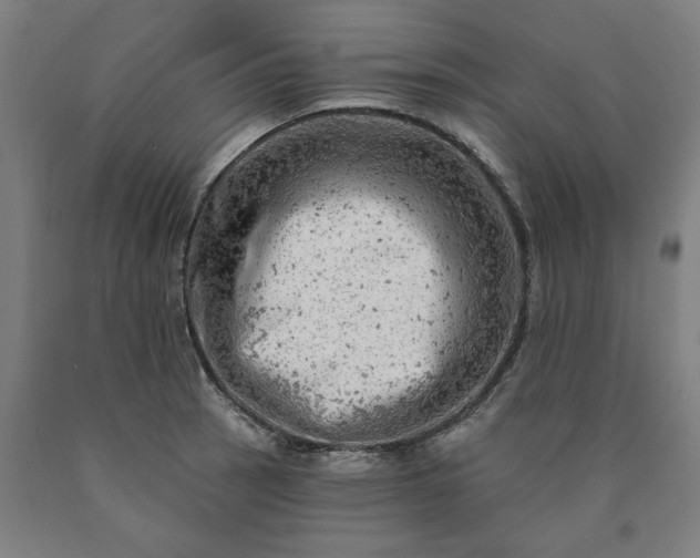 X0000090631137200707311300