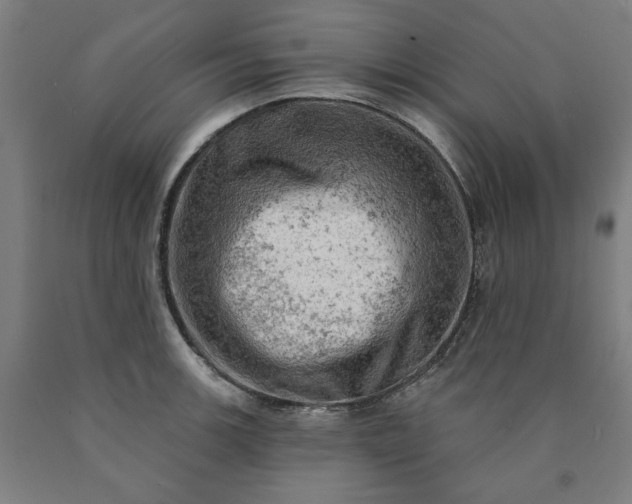X0000090631139200707311300