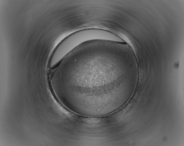 X0000090631141200707311300
