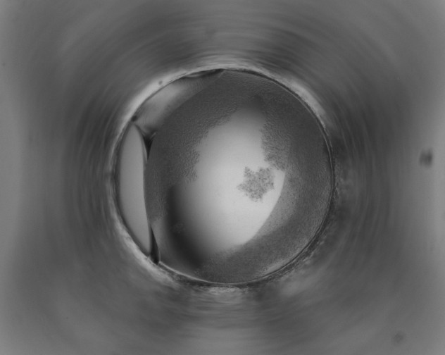 X0000090631142200707311300