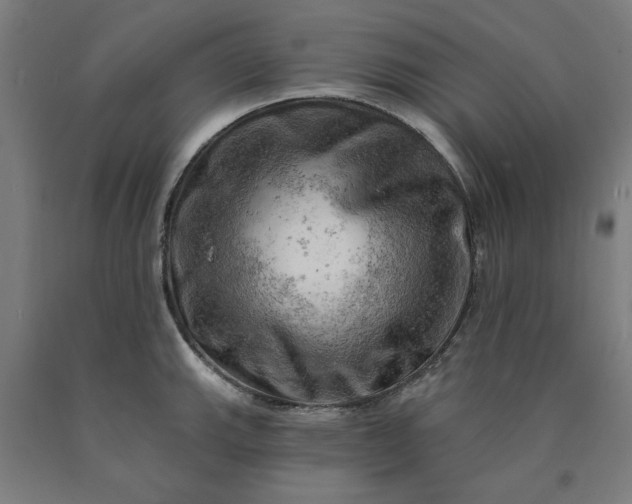 X0000090631143200707311300