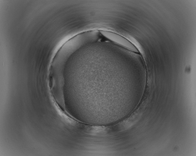 X0000090631144200707311300