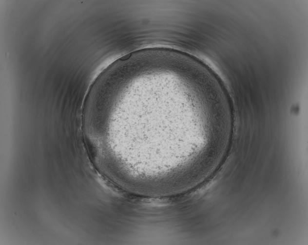 X0000090631145200707311300