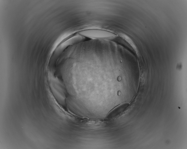 X0000090631146200707311300
