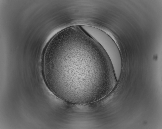 X0000090631147200707311300