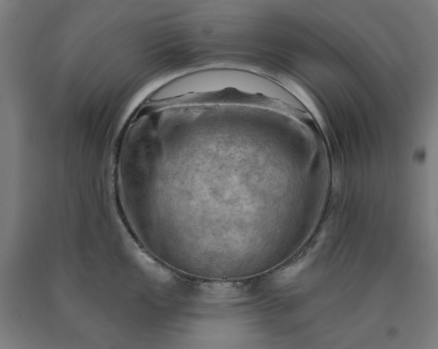 X0000090631149200707311300