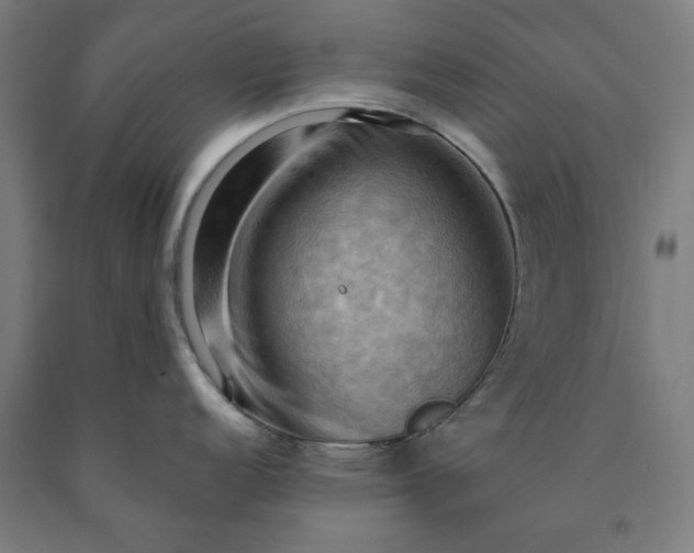 X0000090631152200707311300