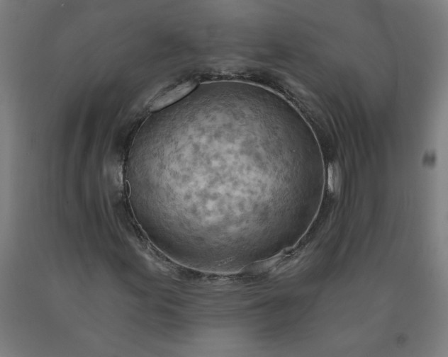 X0000090631155200707311259