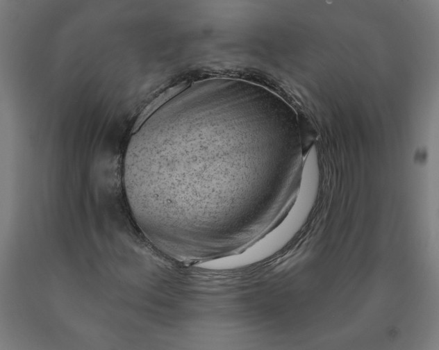 X0000090631156200707311259
