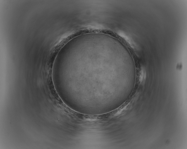 X0000090631157200707311259