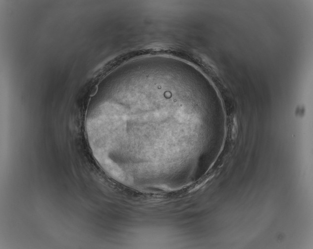 X0000090631158200707311259